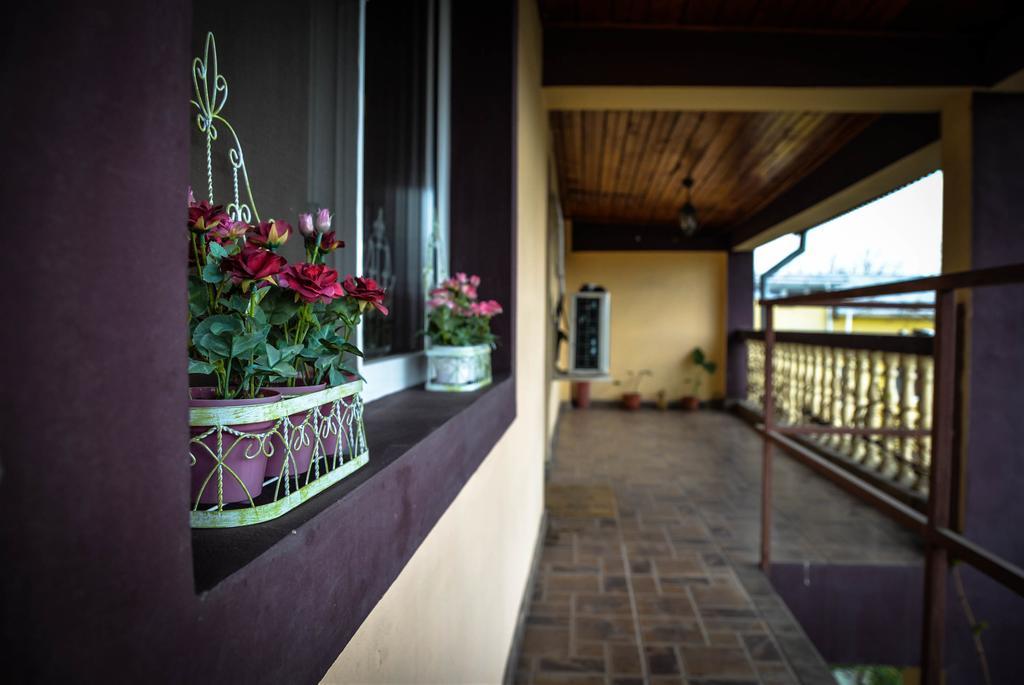 Collosal Apartment With Garden Bucharest Luaran gambar
