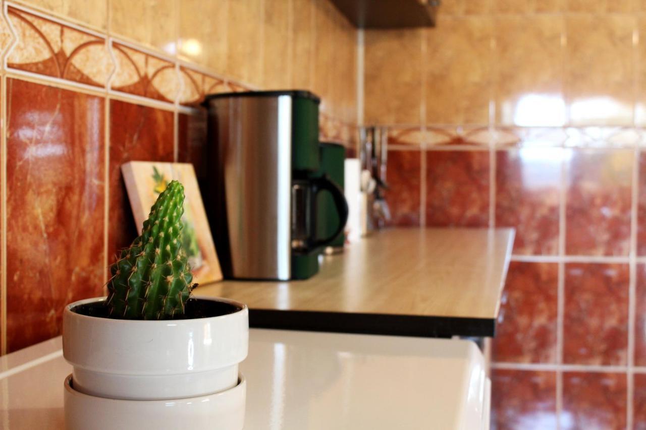 Collosal Apartment With Garden Bucharest Luaran gambar