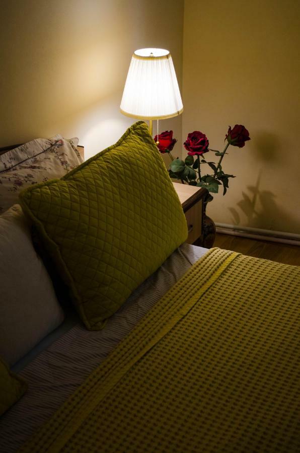 Collosal Apartment With Garden Bucharest Luaran gambar