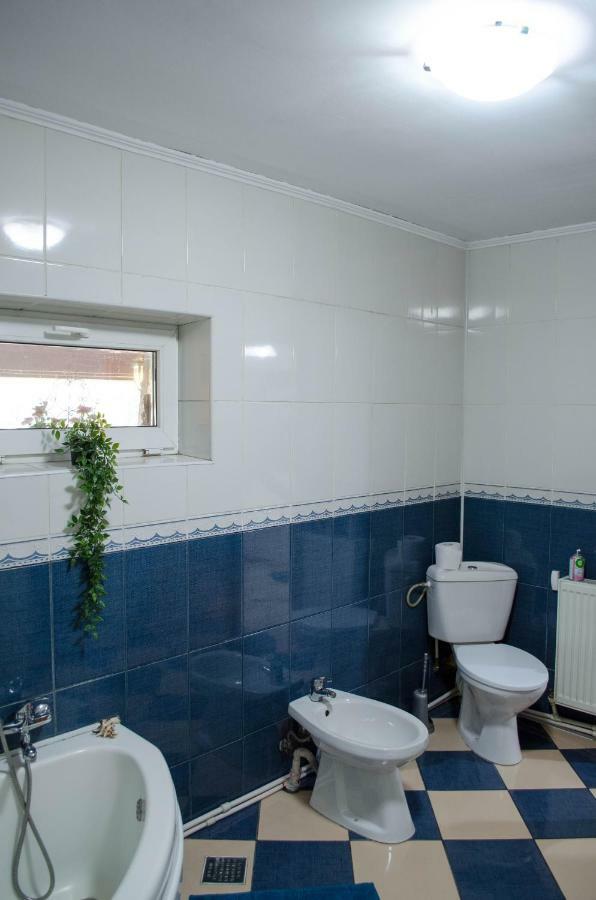 Collosal Apartment With Garden Bucharest Luaran gambar